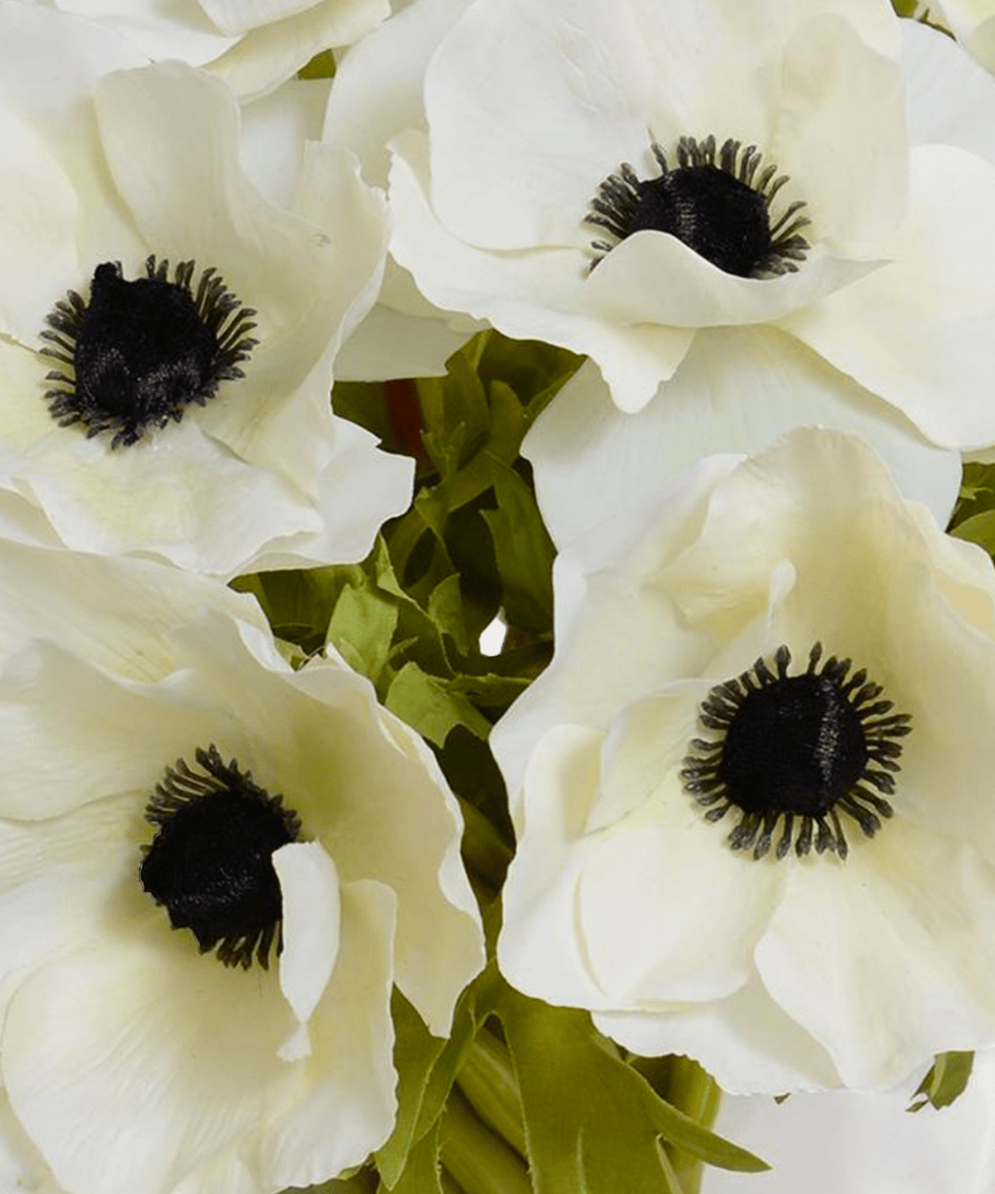 Anemone Arrangement - Stephenson House