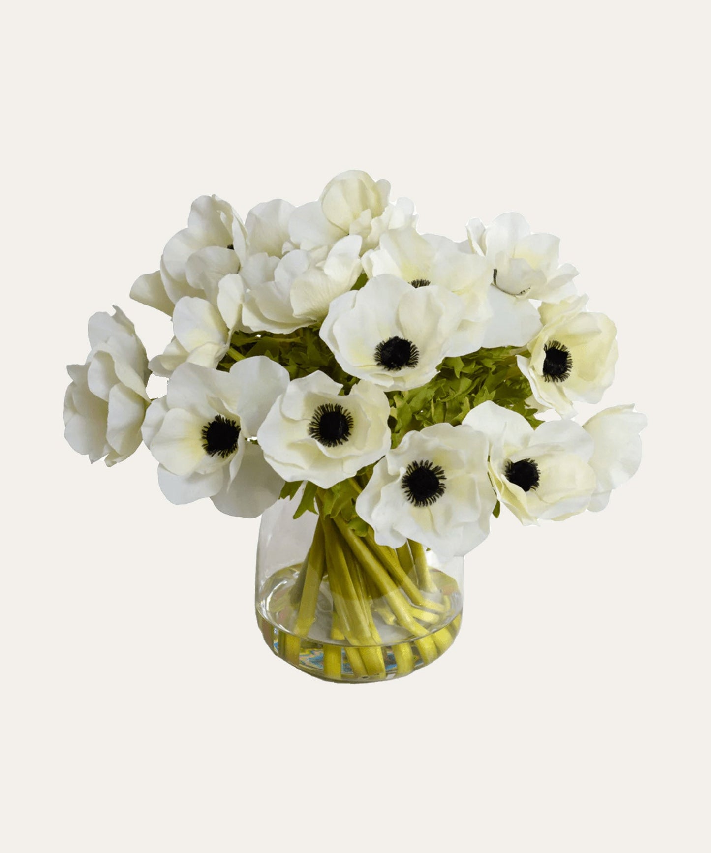 Anemone Arrangement - Stephenson House