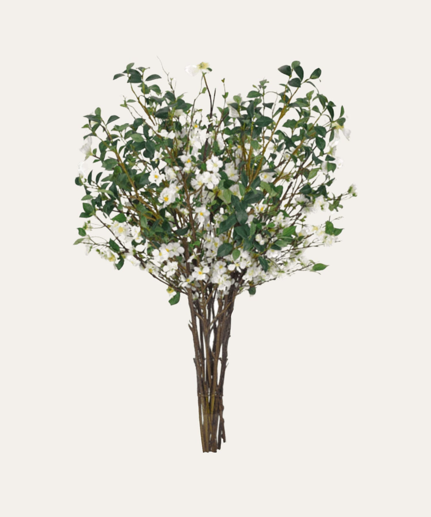 Blooming Branch - Stephenson House