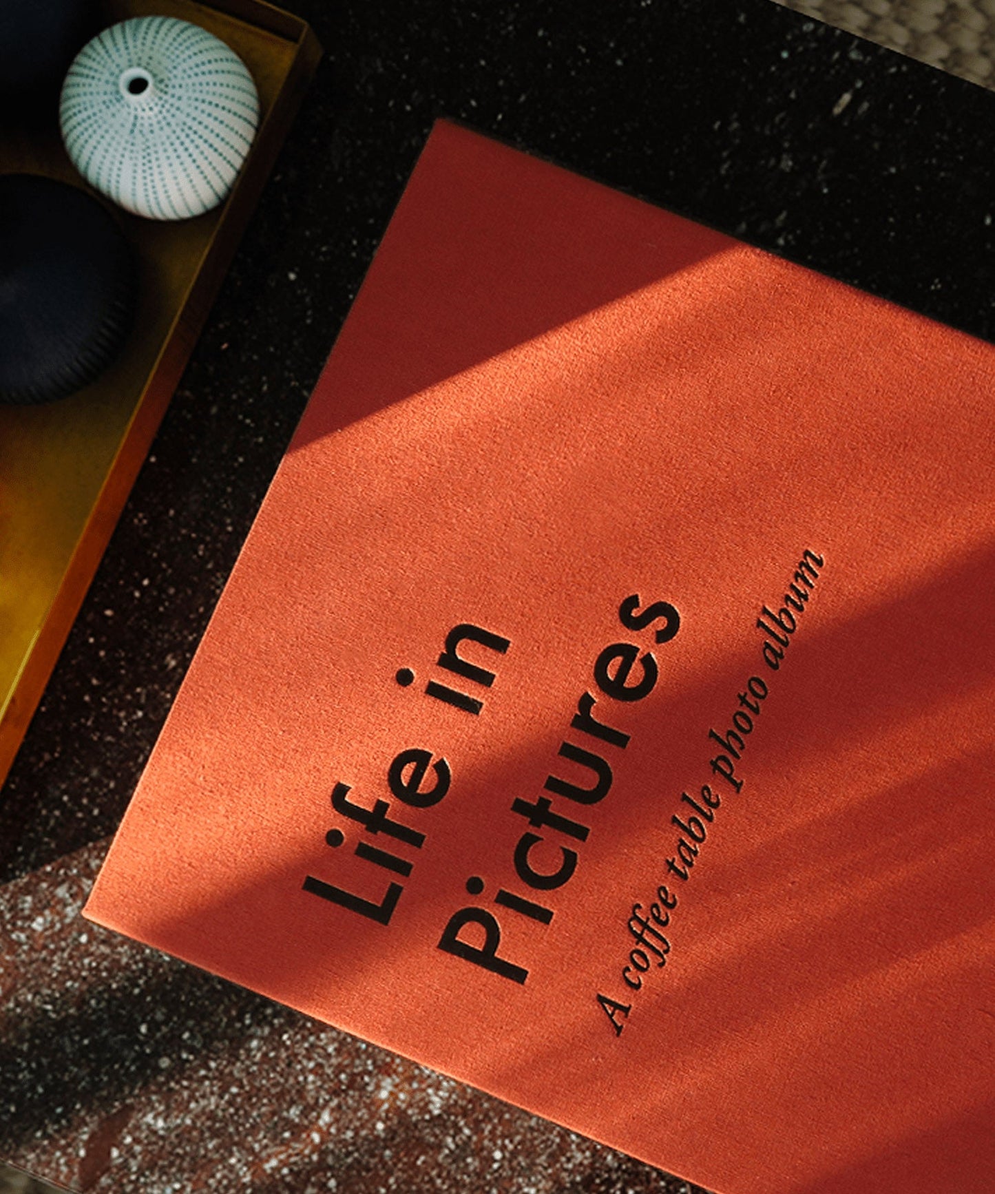 Life in Pictures, Photo Album - Stephenson House