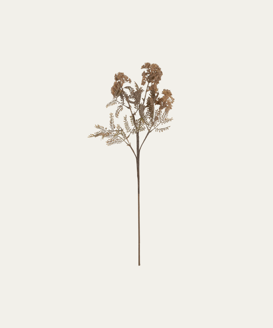 Hemlock Stem - Stephenson House