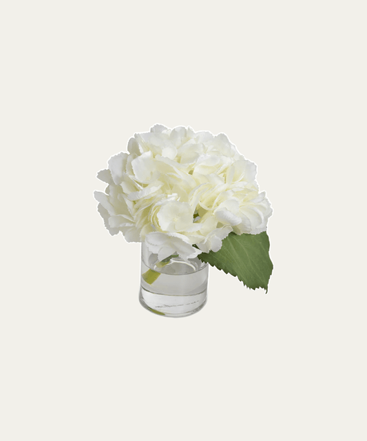 Hydrangea Cutting in Small Glass Vase - Stephenson House