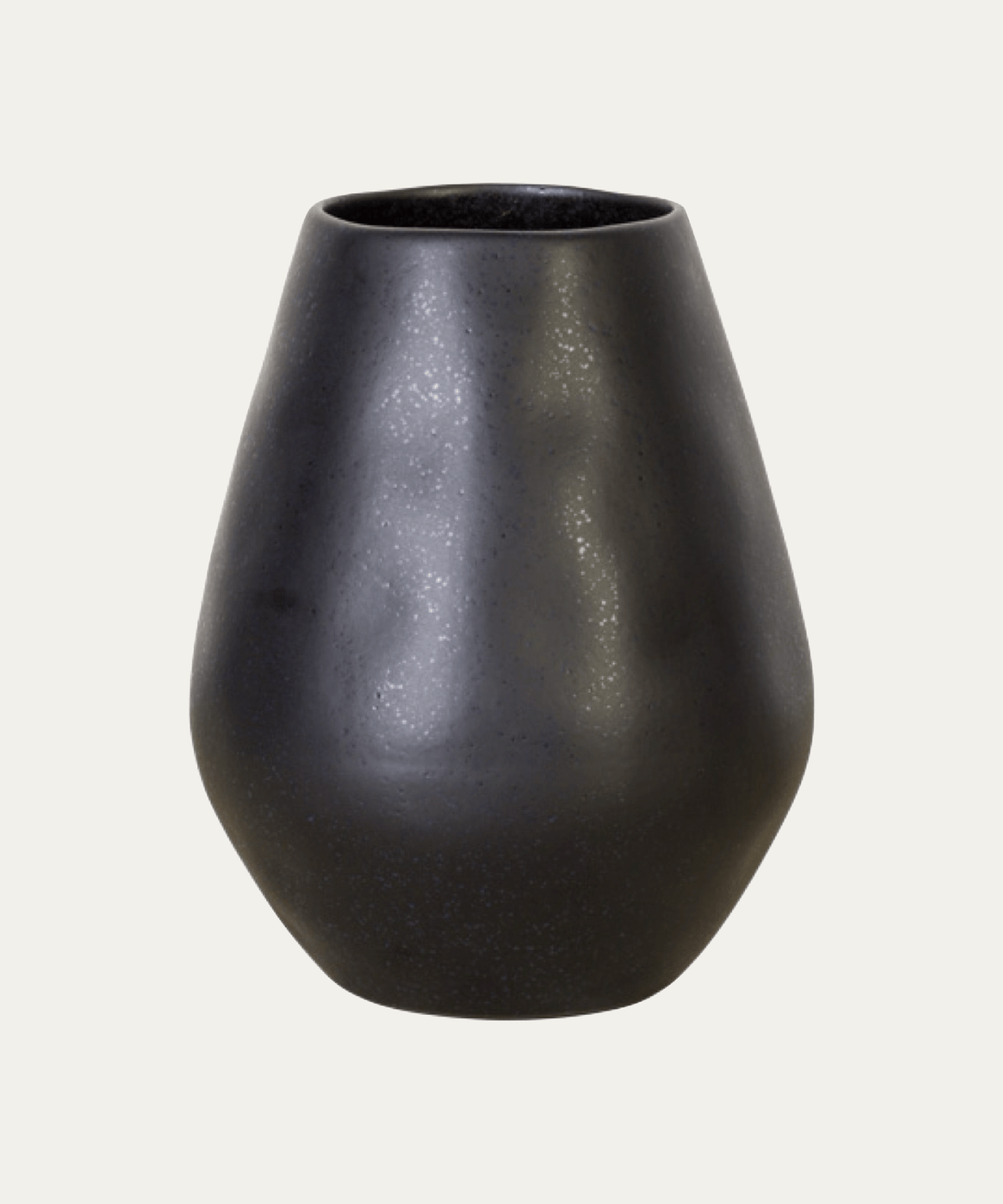 Le Jardin Noir Bulb Vase - Stephenson House