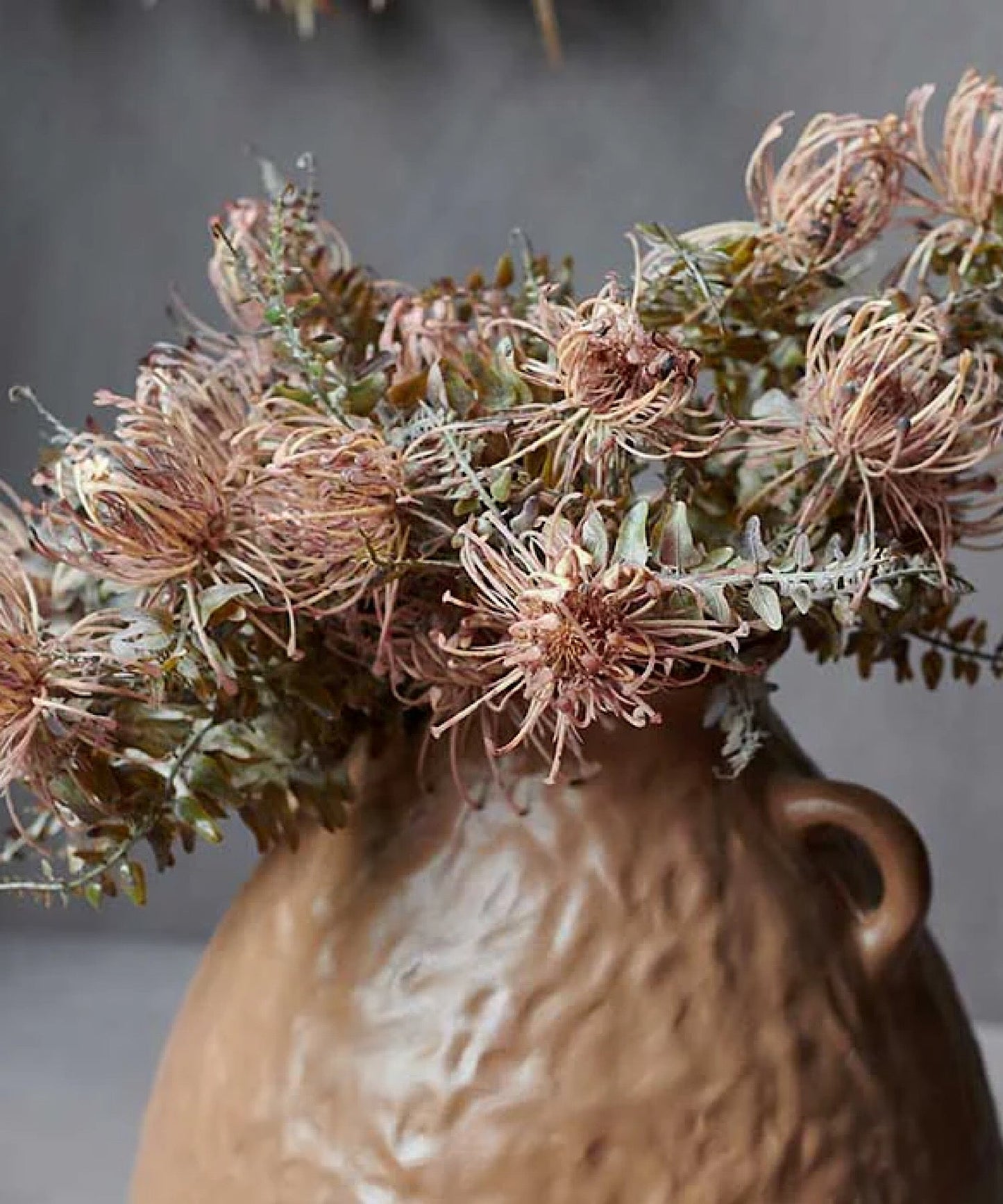 Leucospermum Bush Stem - Stephenson House