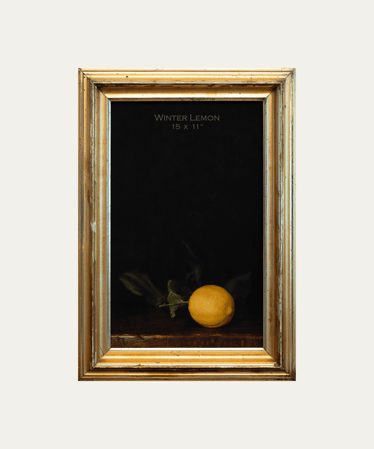 Winter Lemon - Stephenson House