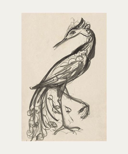 Bird Sketch, Print - Stephenson House