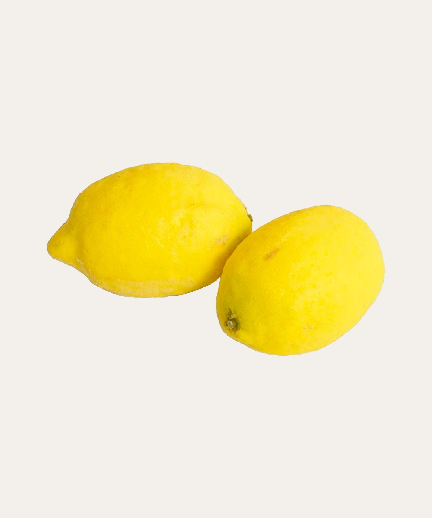 Lemons – Stephenson House