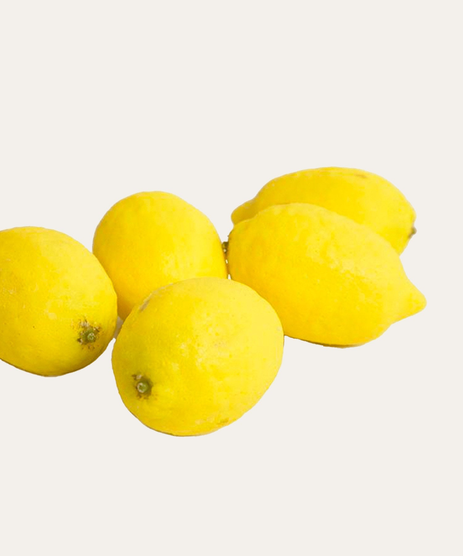 Lemons - Stephenson House