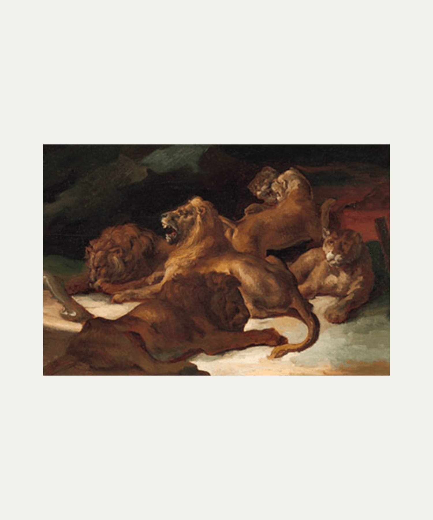 Lions, Print - Stephenson House