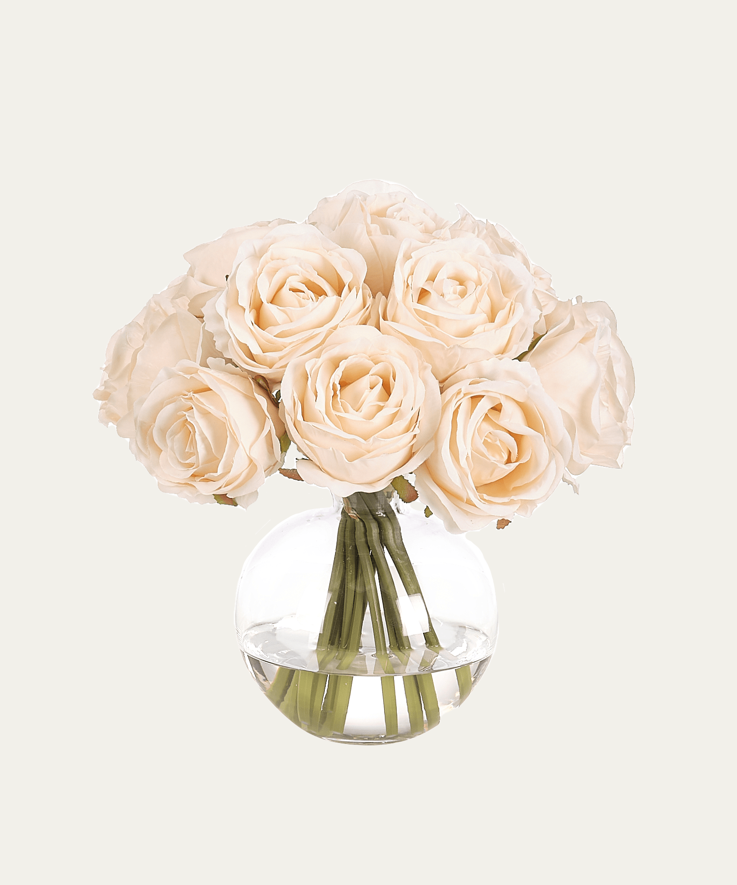 Soft Pink Roses – Stephenson House