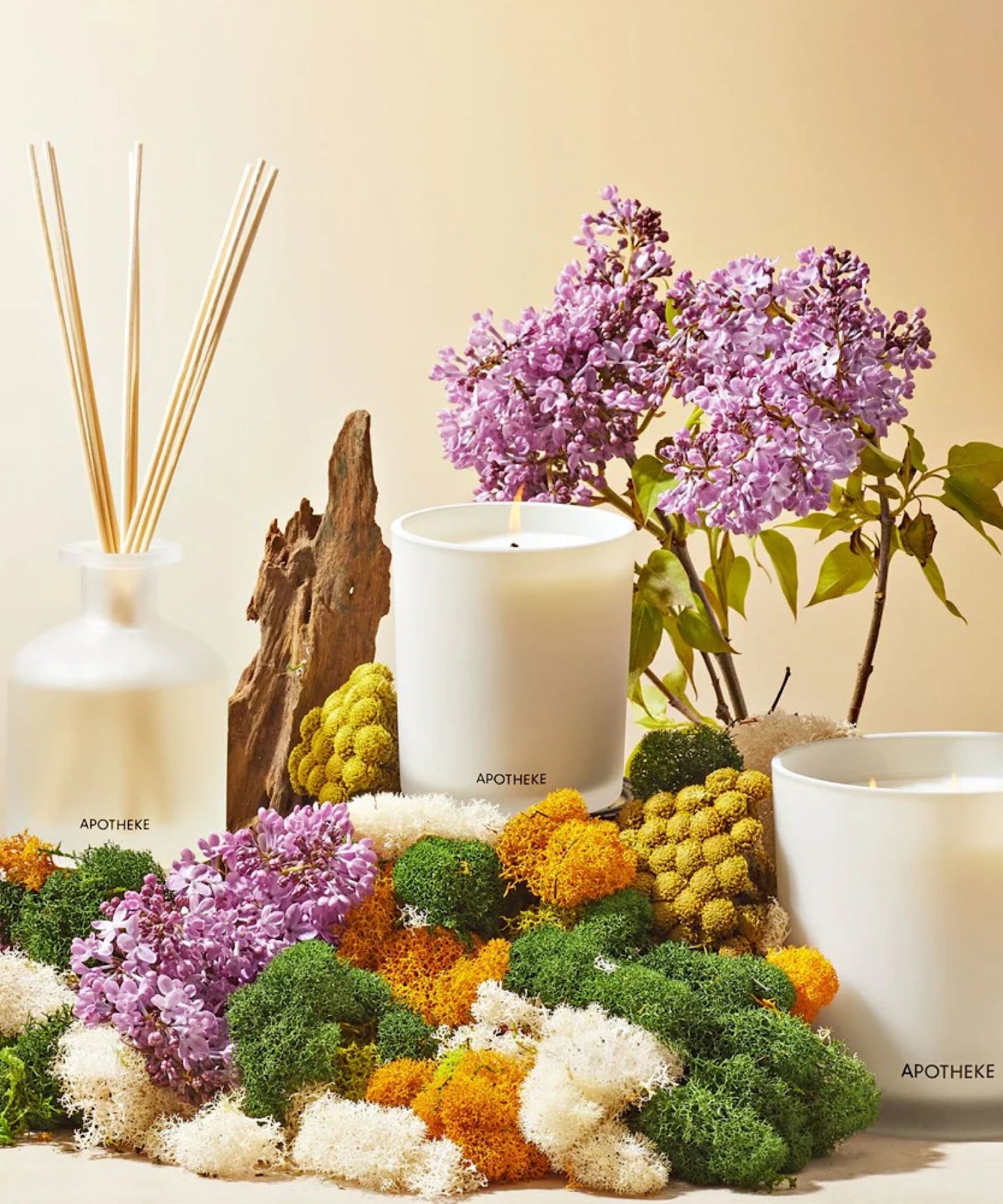 White Vetiver Reed Diffuser – Stephenson House