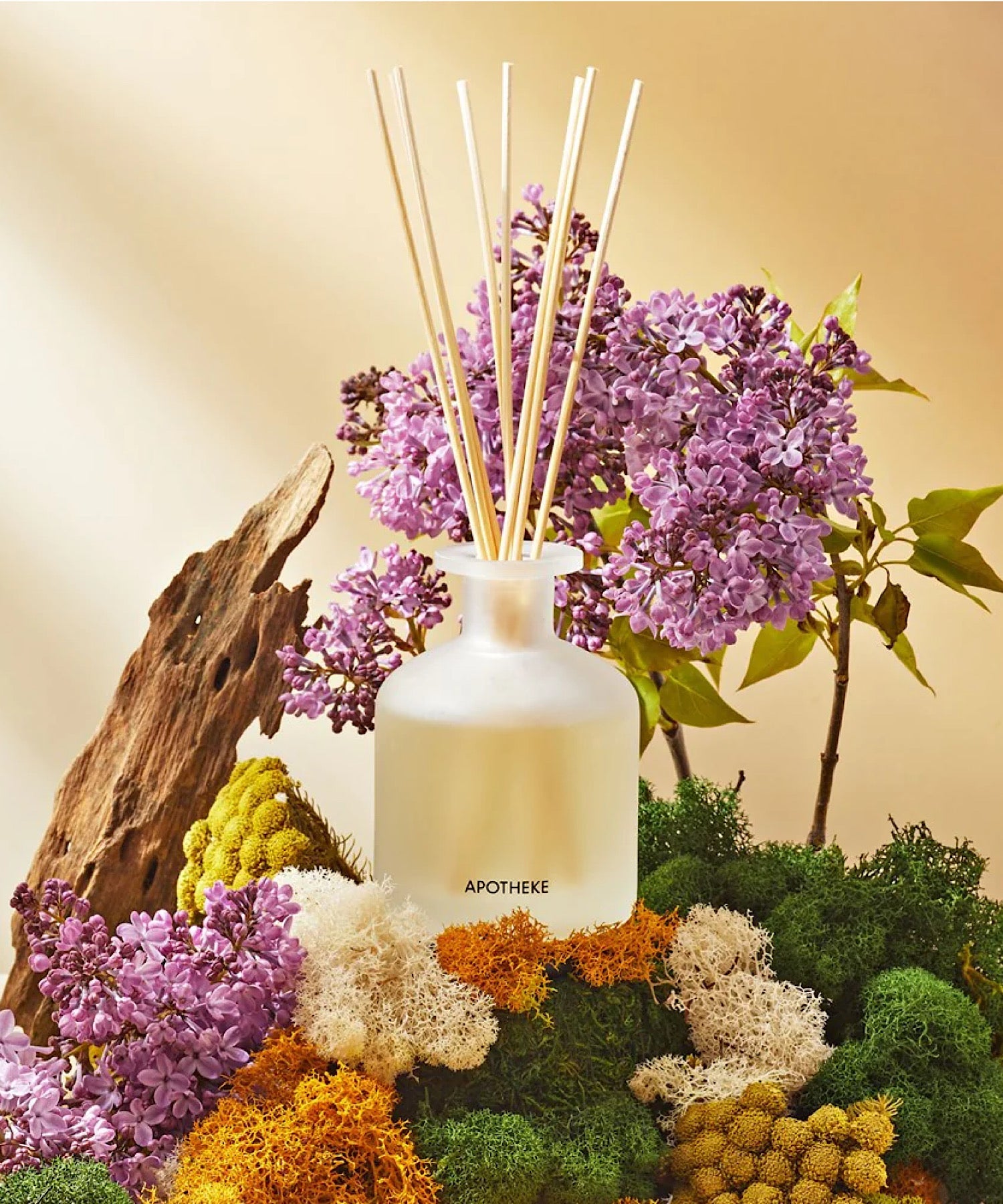 White Vetiver Reed Diffuser – Stephenson House